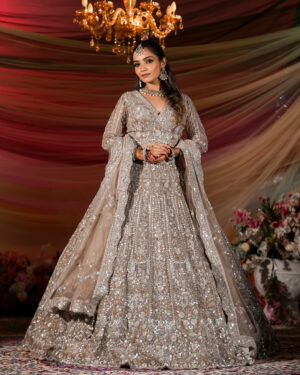 Moondust Radiance Sequin Lehenga Set
